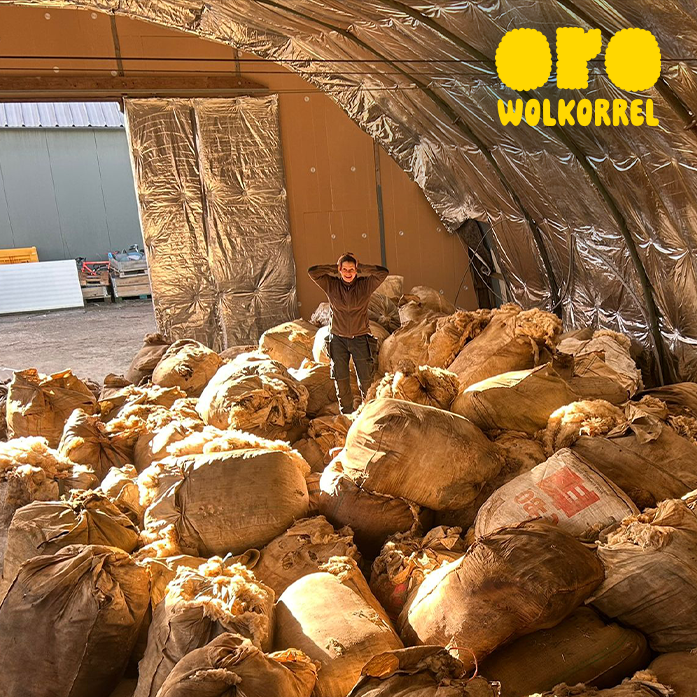 Header ORO Wolkorrel, Morgenwereld - Mobiel