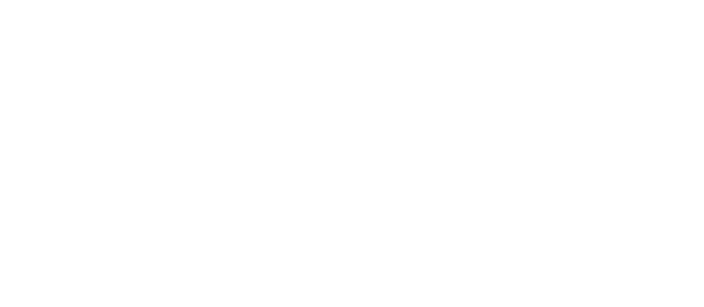 BNG - Logo